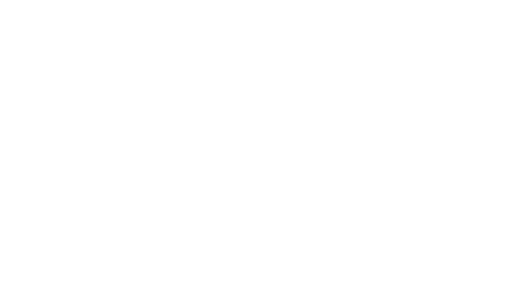 LAPA SYSTEMS Logo
